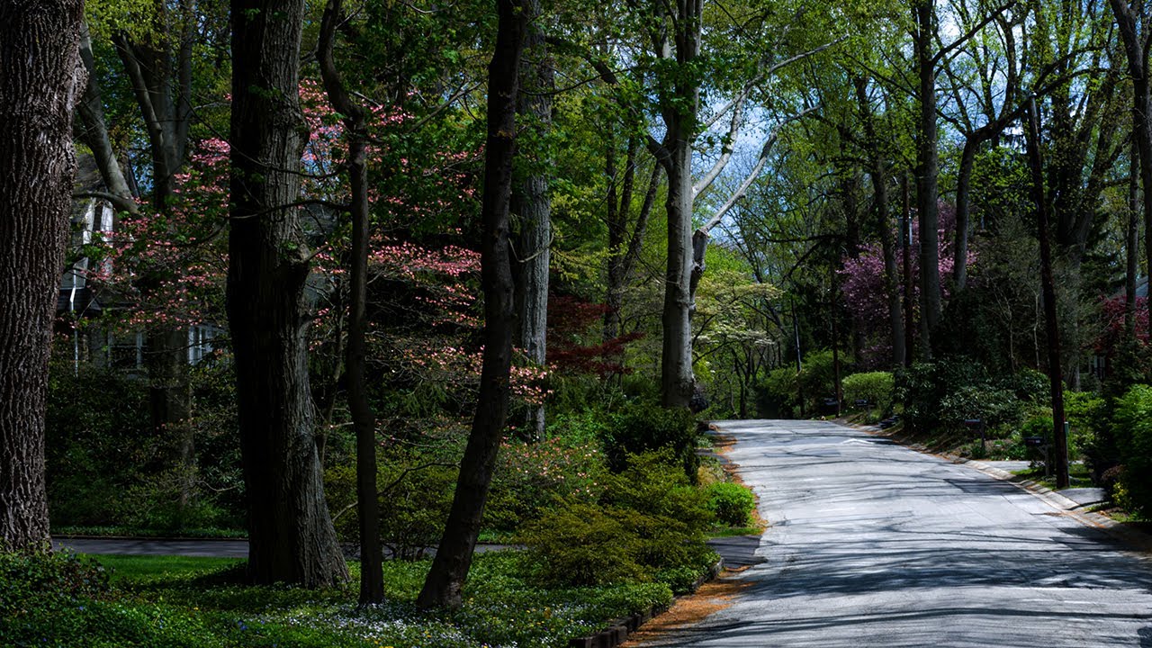 A Rose Valley Story in Photographs