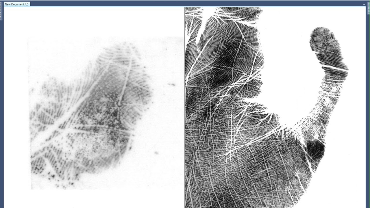Palm Search on FCS