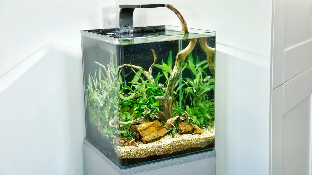 Aquascape Tutorial - How to makeover a Shrimp Nano Aquarium