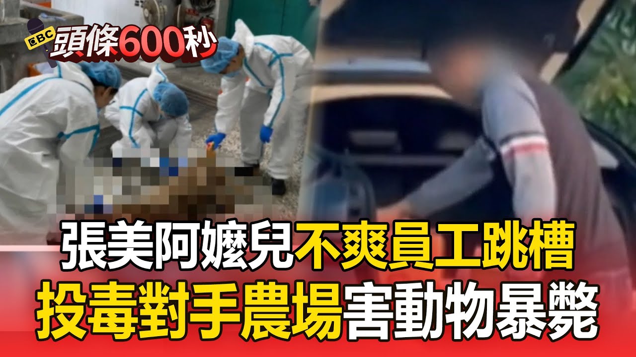 張美阿嬤兒不爽員工跳槽就投毒！對手農場「多隻動物暴斃」業者淚：牠們是心肝寶貝【頭條600秒】