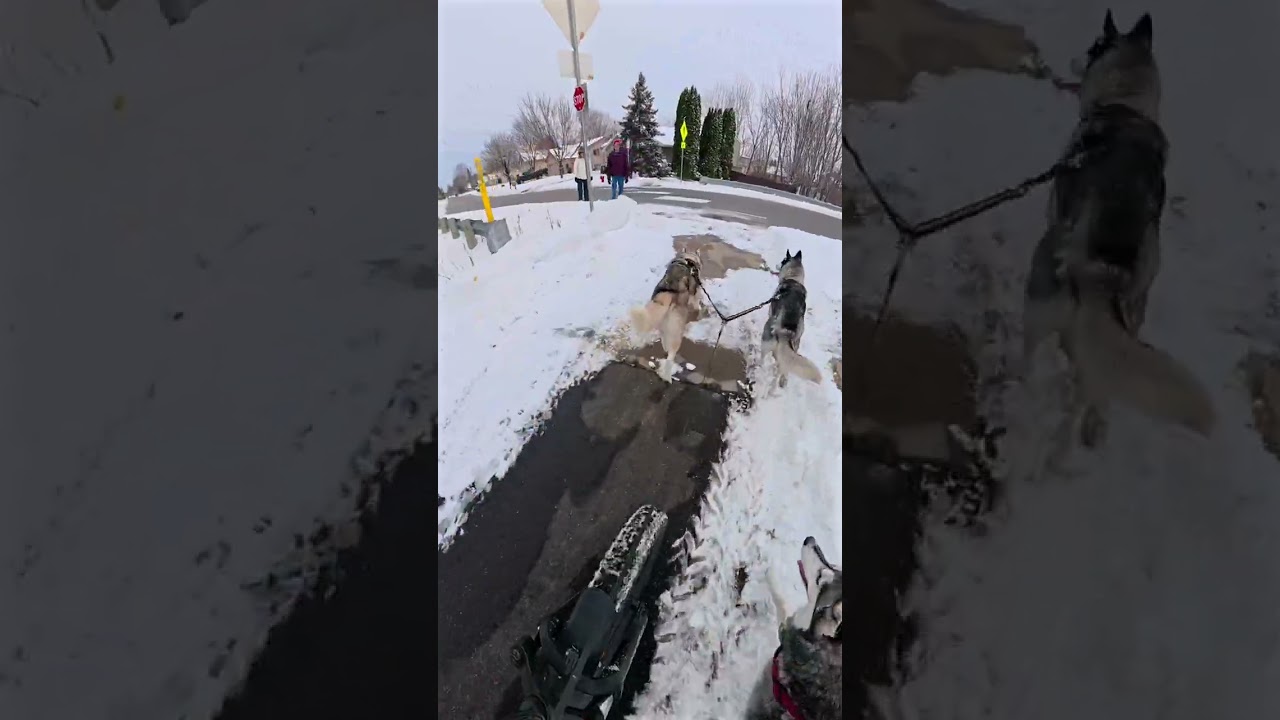Когда твоё хобби становится общественным развлечением! 🎉🍿 