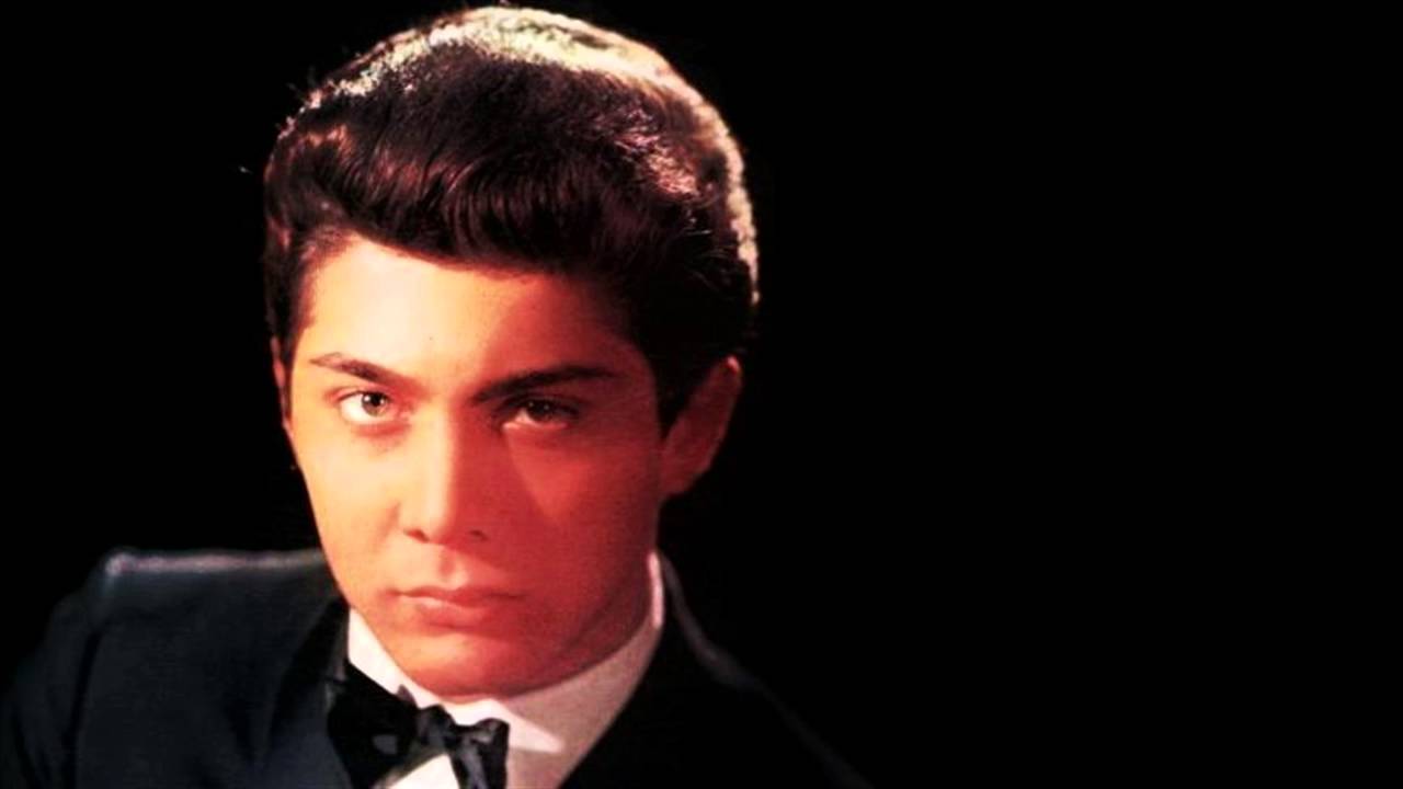 Paul Anka - Stardust - 1968