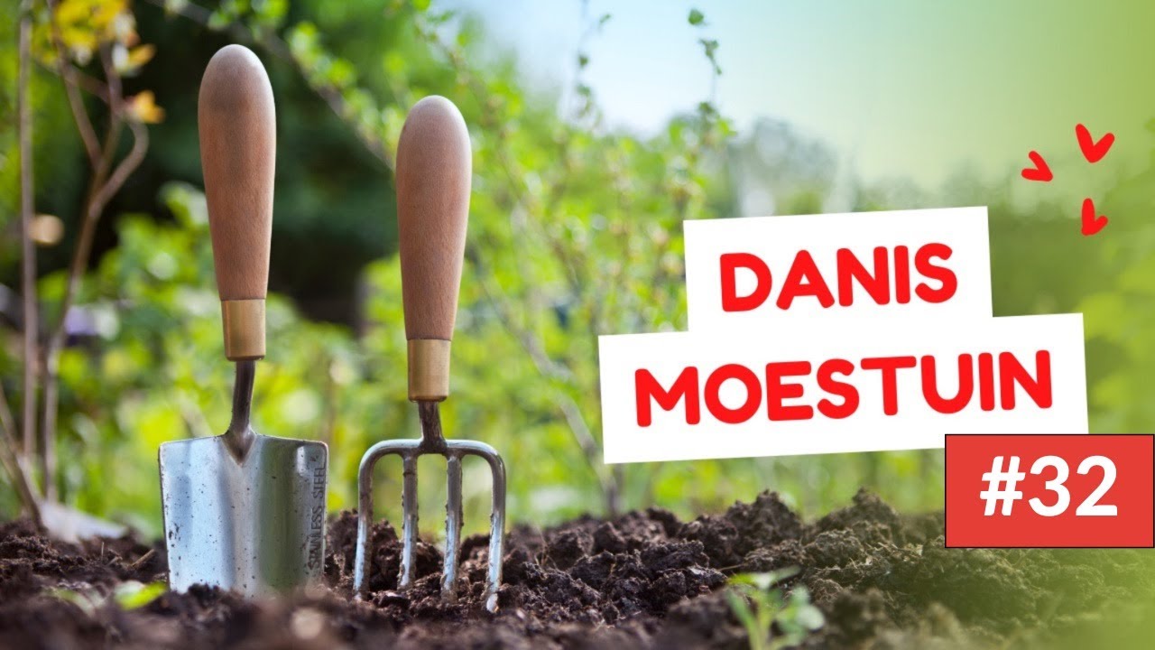 Dani's moestuin # 32, komkommers, mei 2023