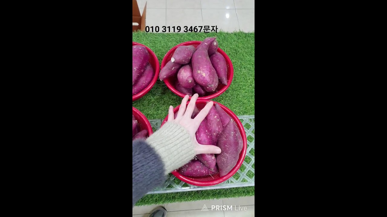 완주흑곶감 수요일발송 목요일수령