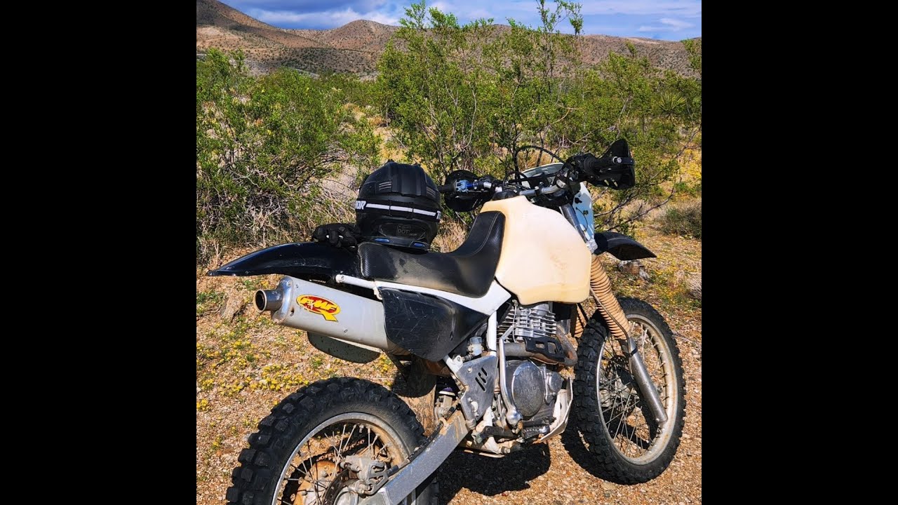HONDA XR600R EXPLORING ITS HABITAT AFTER IT RAINED
