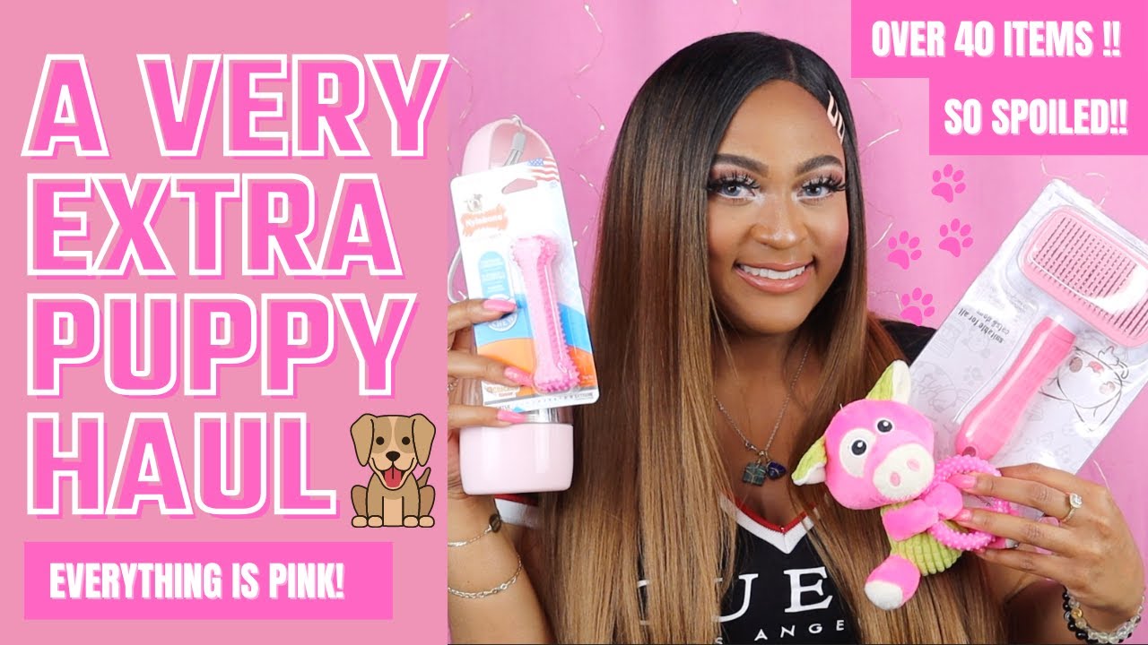 A VERY EXTRA PUPPY HAUL | EVERYTHING IS PINK | RED TEACUP POODLE PUPPY | FIRST DOG EVER |