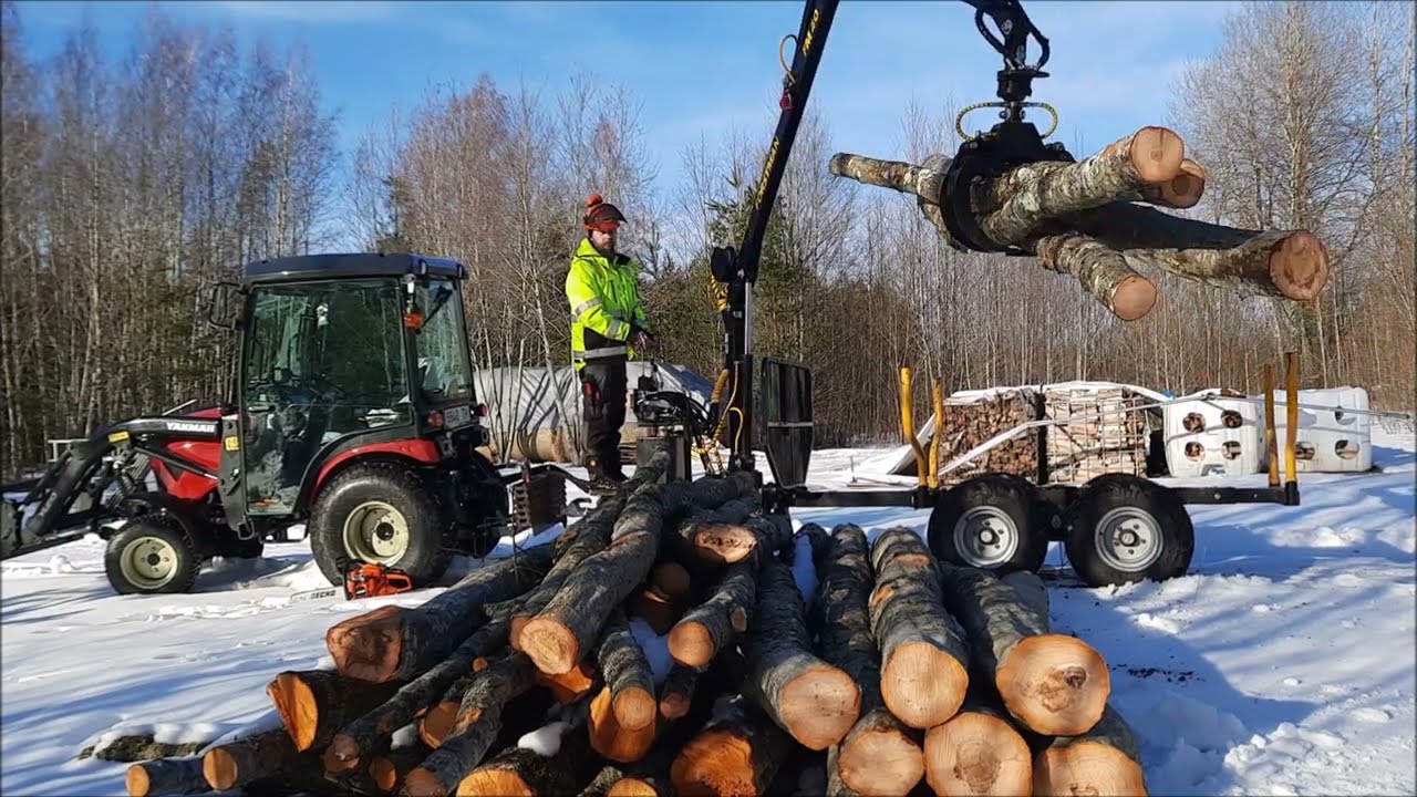 Making firewood.