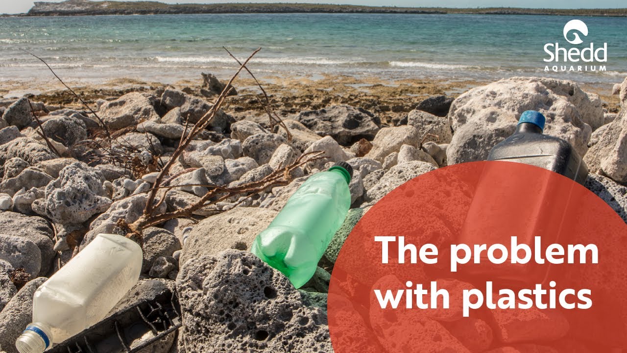 The Problem with Plastics