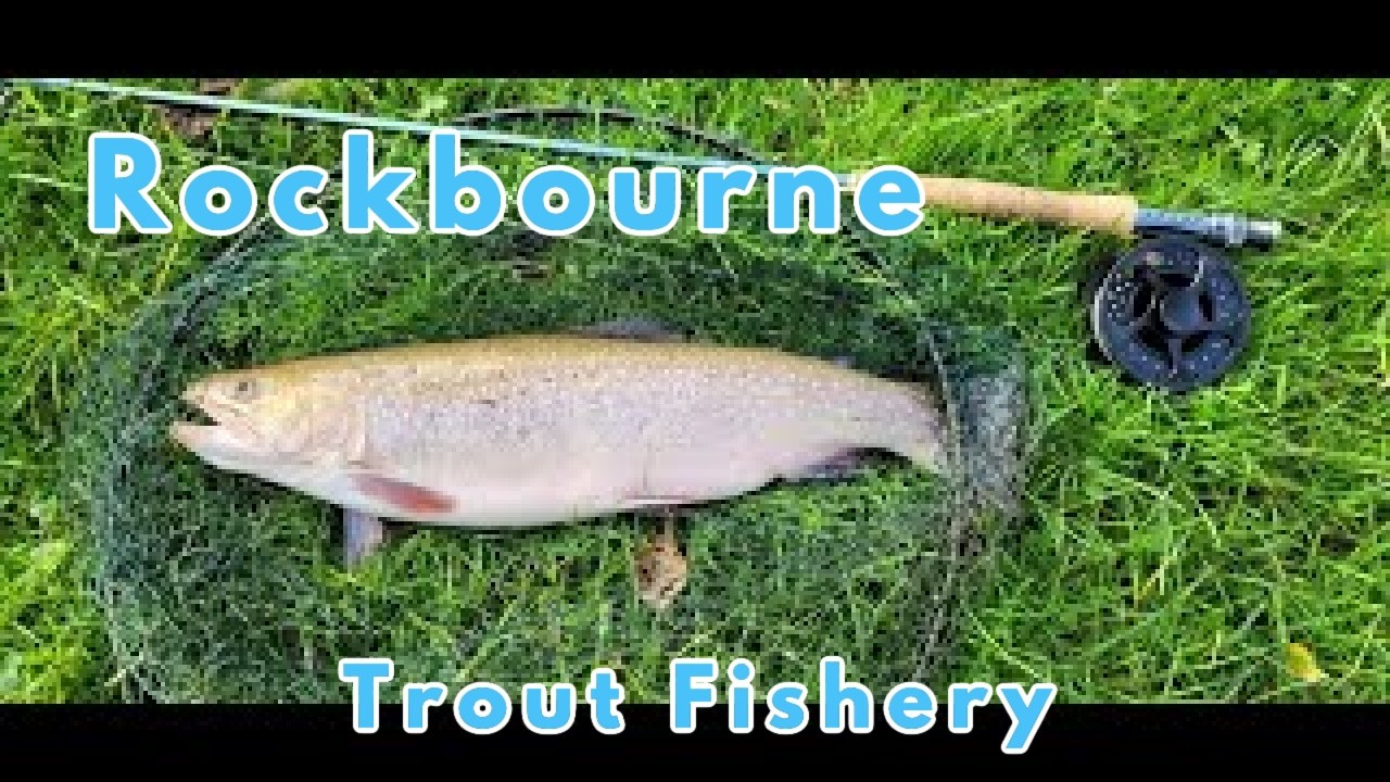 Rockbourne, #troutfishing #Flyfishing, Hard fighting trout, Sparctic trout and nice rainbows.