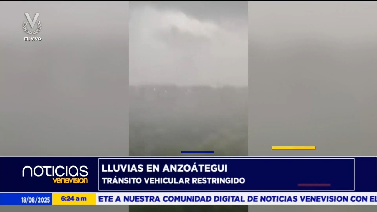 Vientos y lluvias azotan Anzo&aacute;tegui: &Aacute;rboles y postes ca&iacute;dos en la zona norte