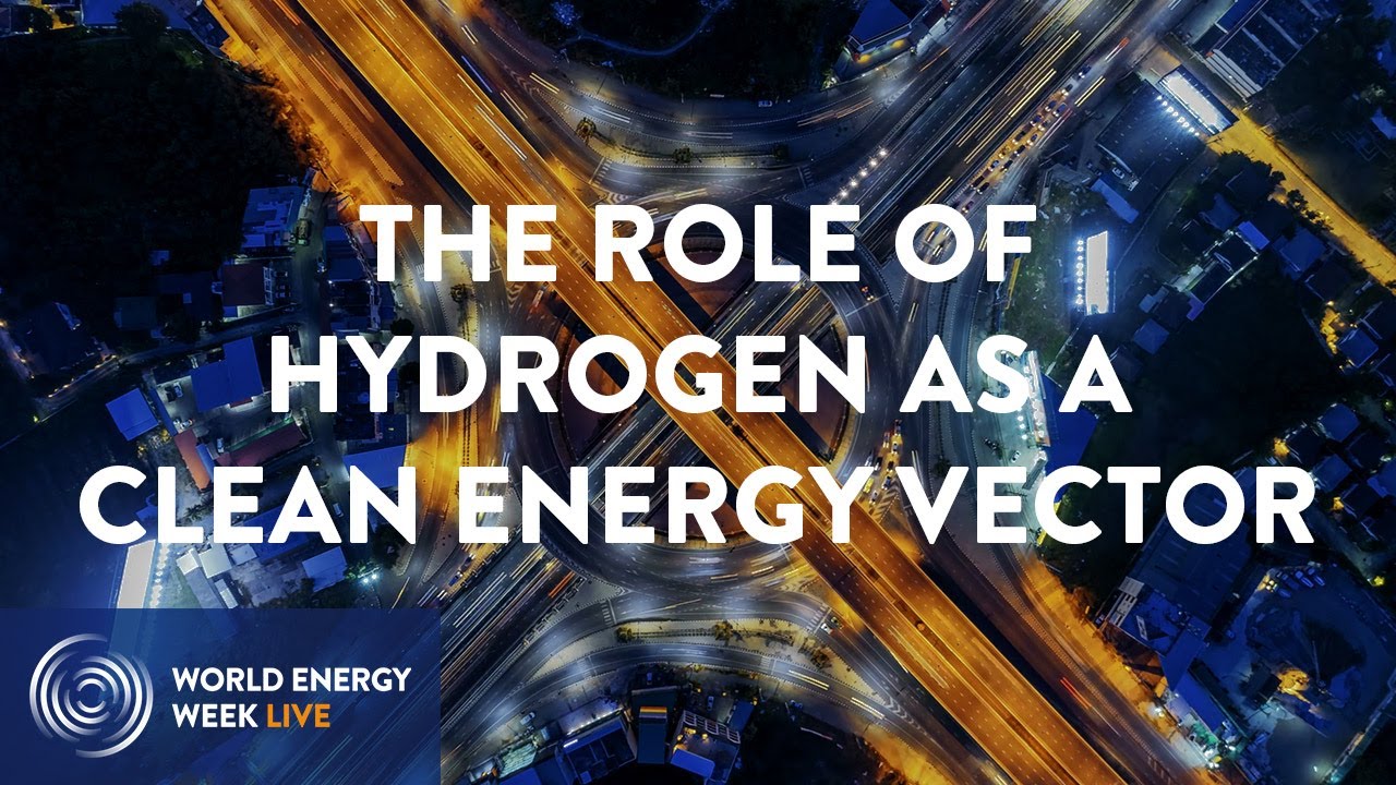 WEW LIVE 2020 - The role of hydrogen as a clean energy vector