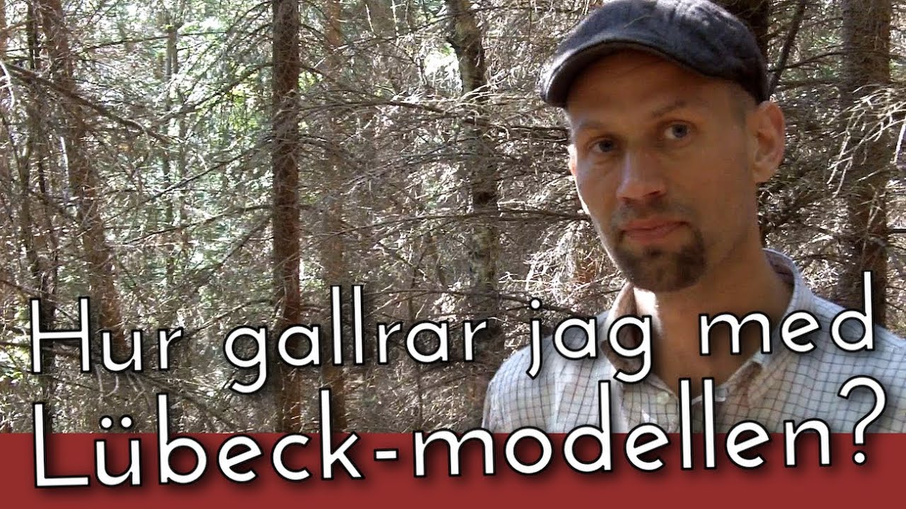 Lübeckmodellen - Hur gallrar jag?