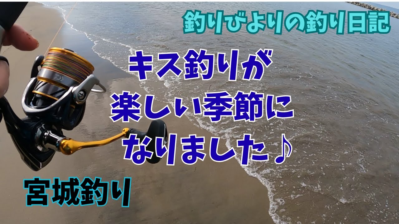 キス釣り調査であれこれ釣れました♪