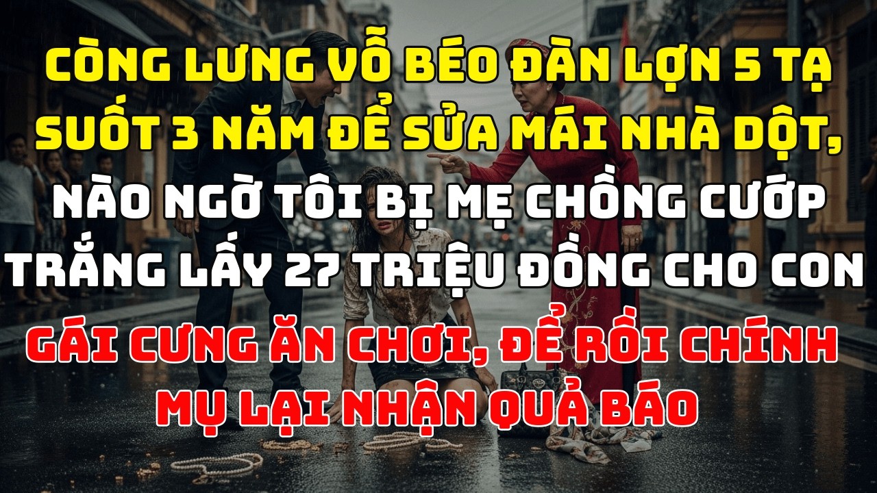 Còng lưng vỗ béo đàn lợn 5 tạ suốt 3 năm để sửa mái nhà dột, nào ngờ tôi bị mẹ chồng cướp trắng lấy