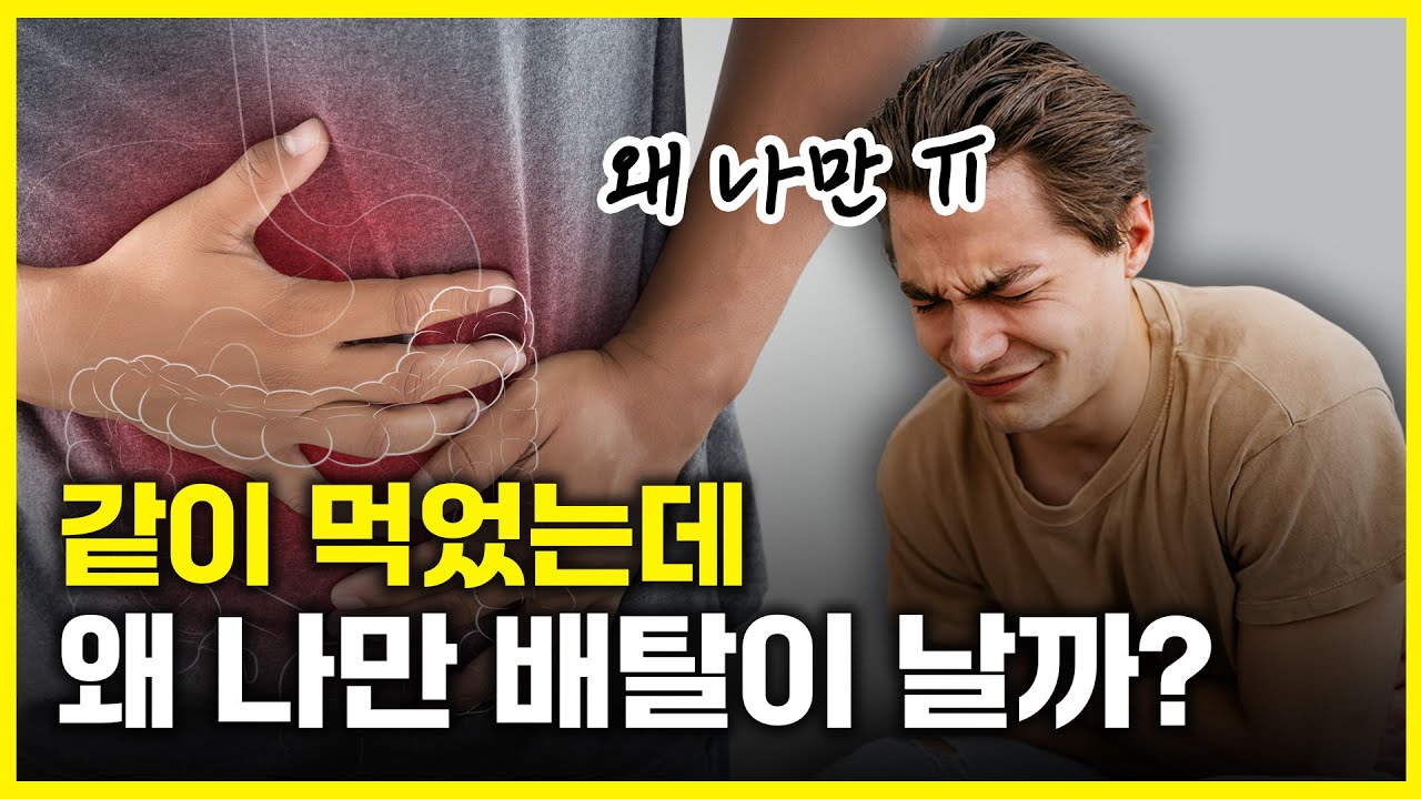 장내 유익균이 우리 몸에 주는 4가지 기능