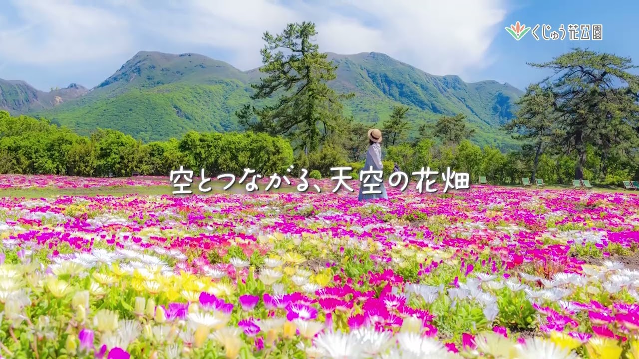 くじゅう花公園スプリングフラワーフェスタ２０２５開催！！