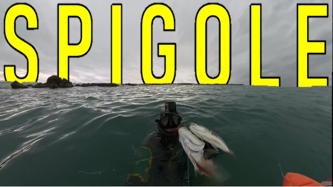 OGGI HO ESAGERATO – Pesca Sub Puglia