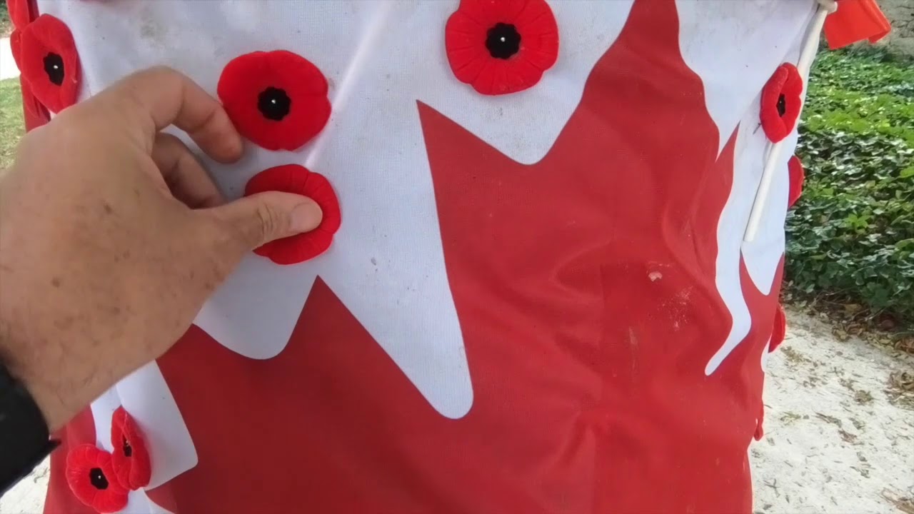 BIA Episode 9    Abbaye d'Ardenne