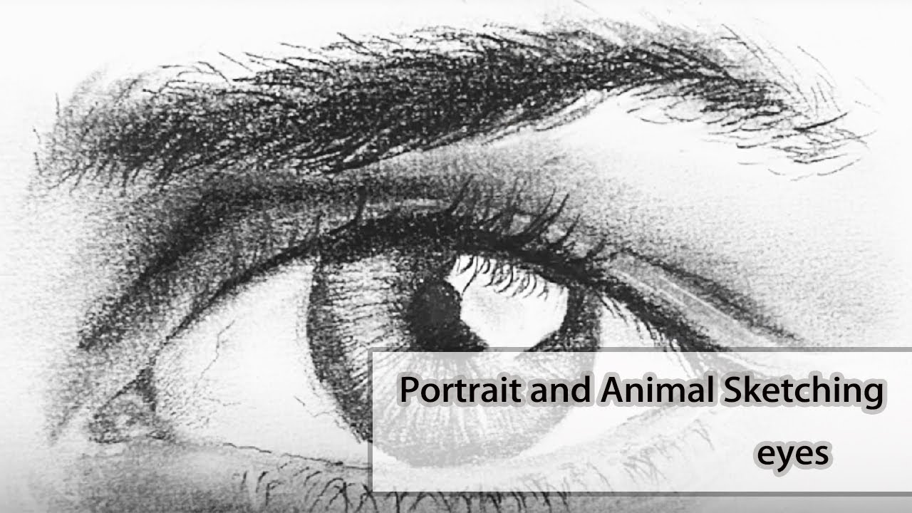 Captivating Eye Sketching Tutorial