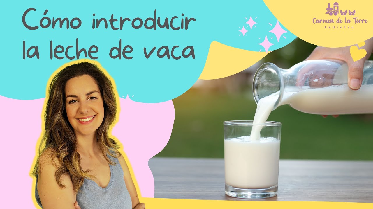 A partir de los 12 meses ¿Qué leche le doy?