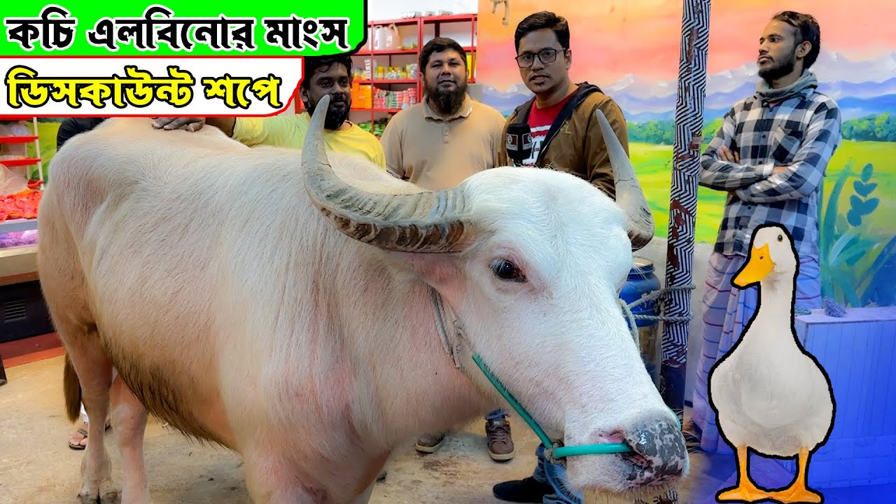 ডিসকাউন্ট শপে কচি এলবিনো মহিষের মাংস পাওয়া যাবে বিজয় দিবসে | সাথে গরুর মাংস, হাসের মাংস #Turfa_Foods