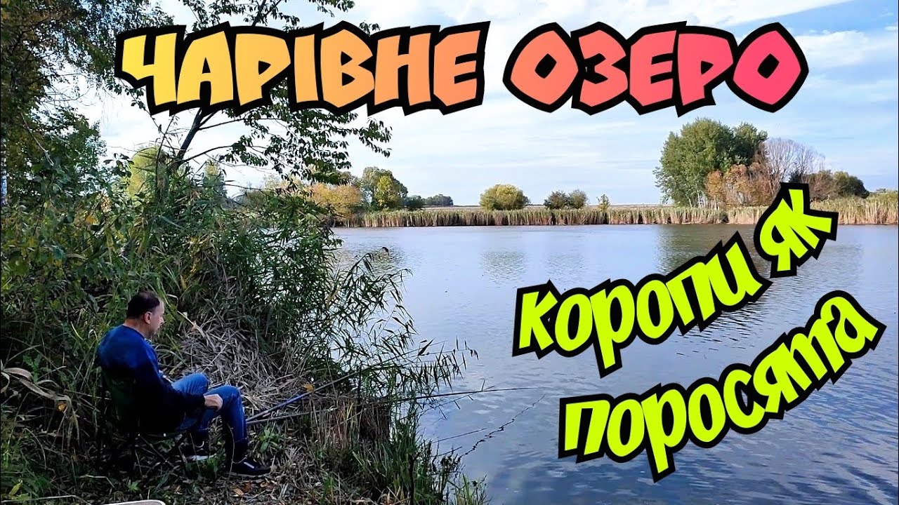 РИБОЛОВЛЯ НА ГАРНОМУ ОЗЕРІ \ ЗБИРАЄМО ГРИБИ І ГАРНО ВІДПОЧИВАЄМО НА ПРИРОДІ