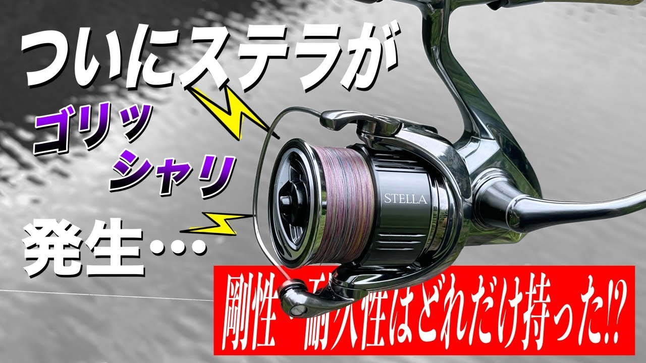 ステラにゴリシャリ感が！あえてノーメンテで使うとどこまで持つのか！？