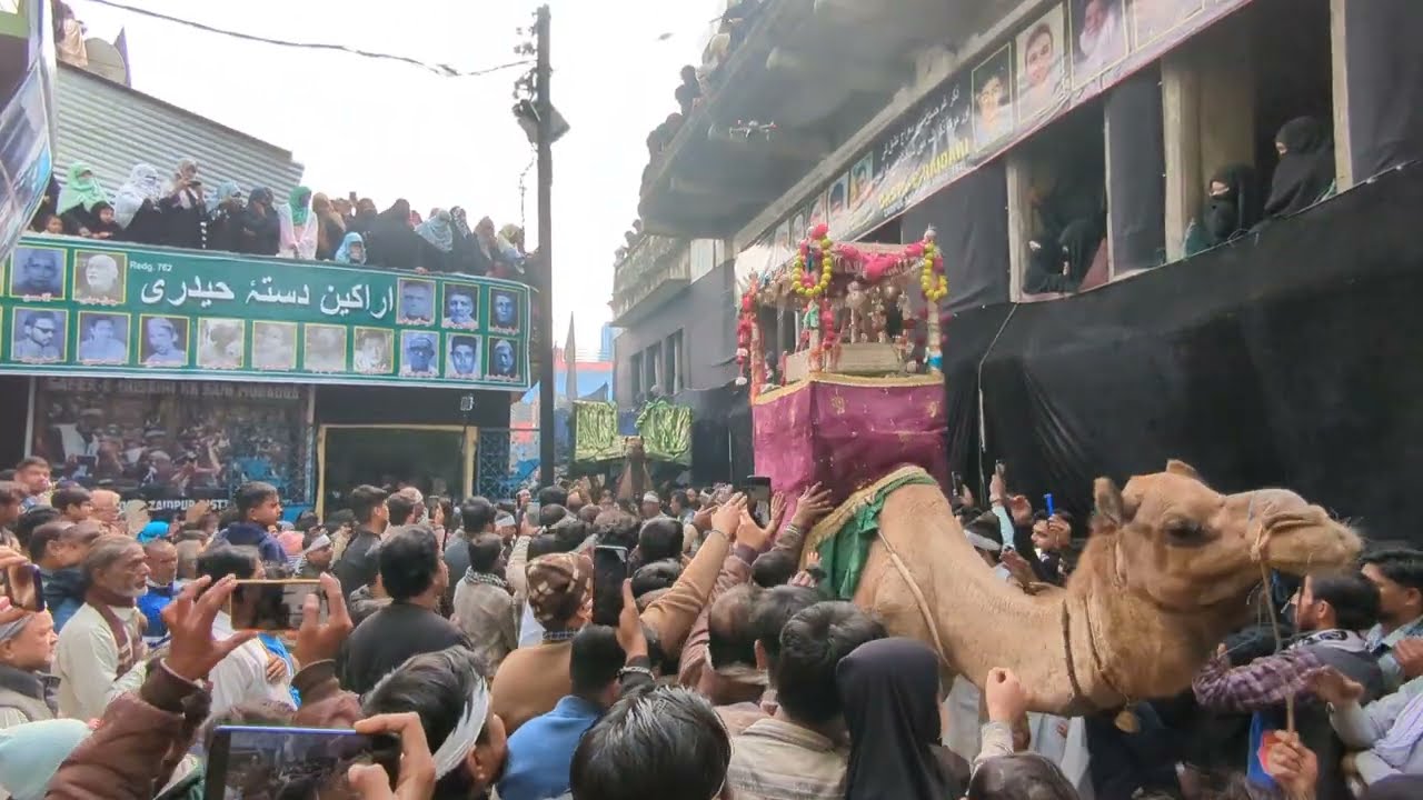 #zaidpur 28 #Rajab Karbala 🕌 🕌 January 29, 2025