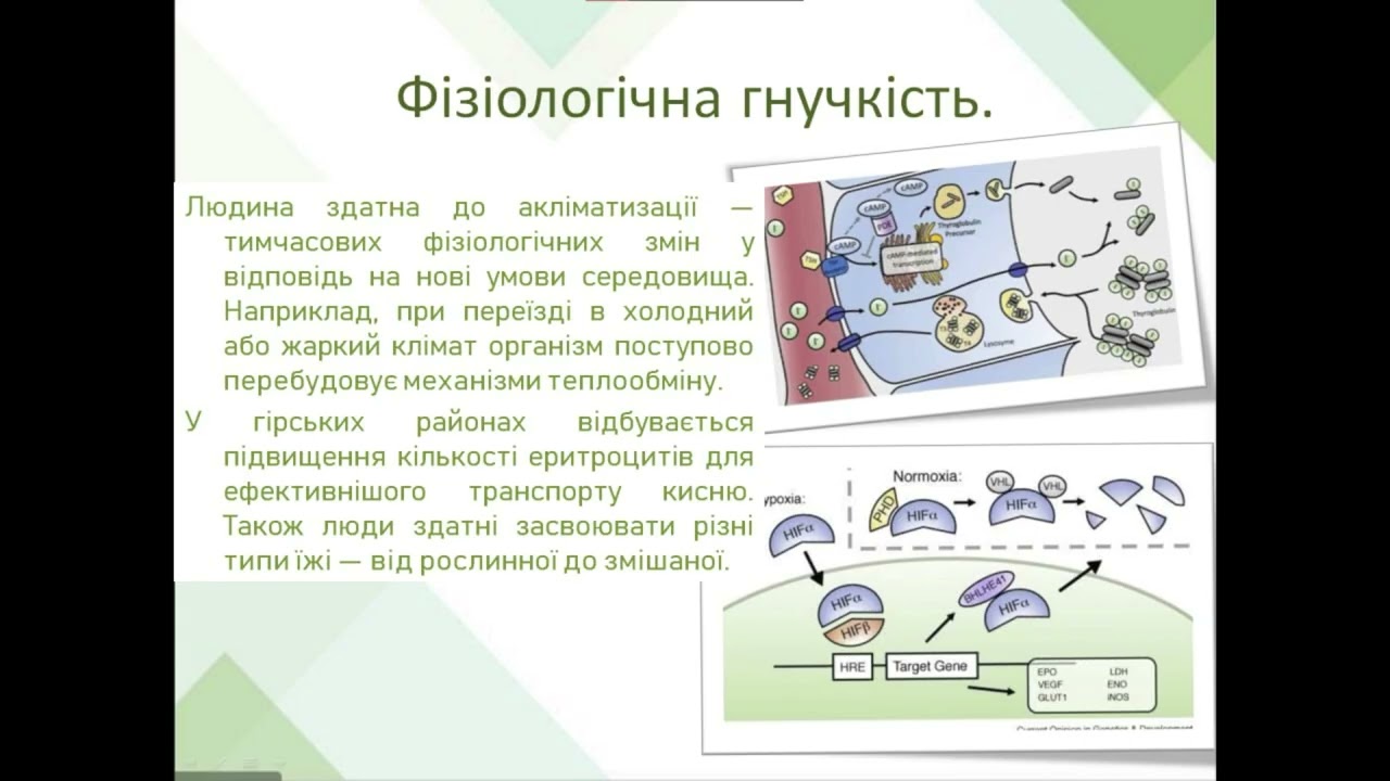 Семінар №5 