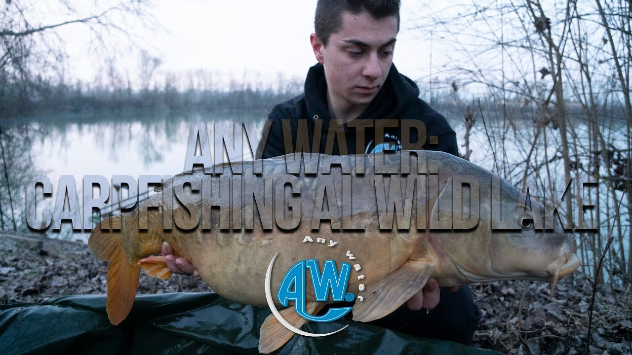 Carpfishing al Wild Lake - In session whit Any Water