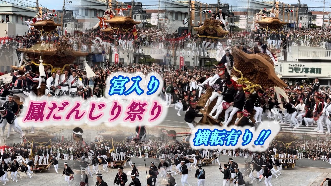【鳳だんじり祭り・宮入り】事故・横転、有り‼︎