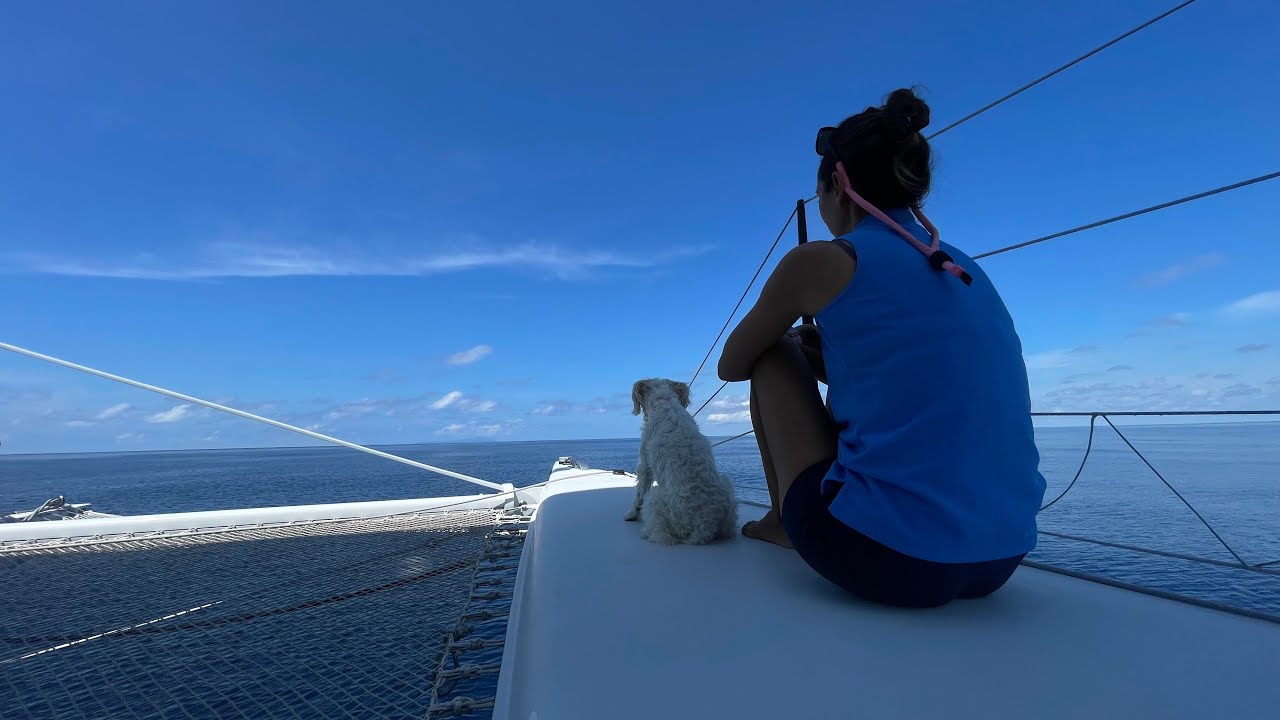Cocos Island with SLIM