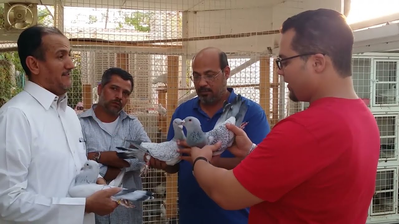 الحمام البيرملي (الحمام الشامي)