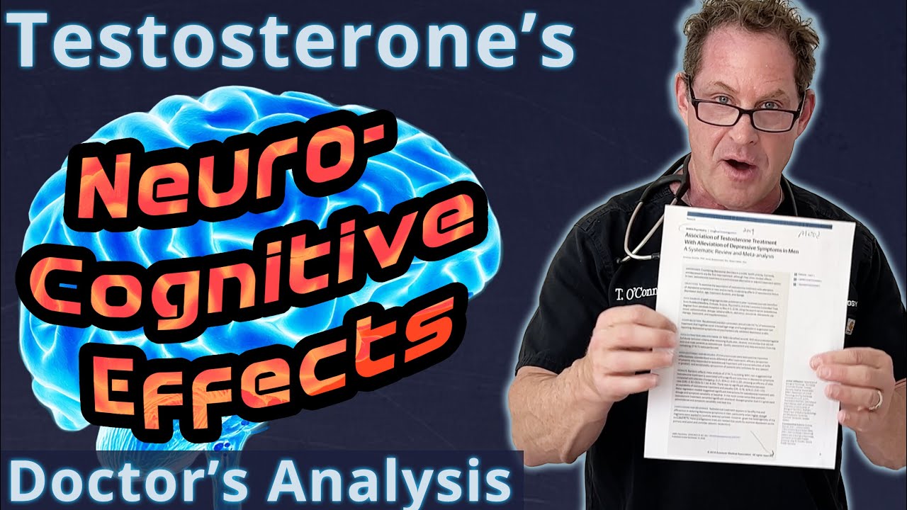 Testosterone's Neurocognitive Effects - Doctor's Analysis