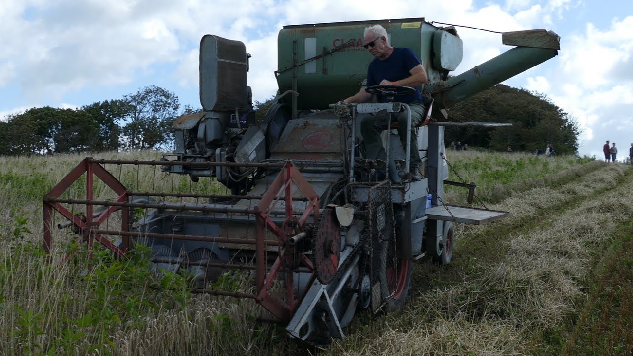 Claas Columbus Harvesting in Denmark
