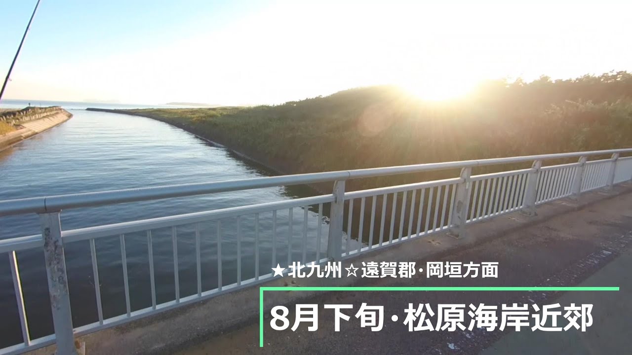 【8月下旬】☆サーフでちょい投げ★よく釣れました♪