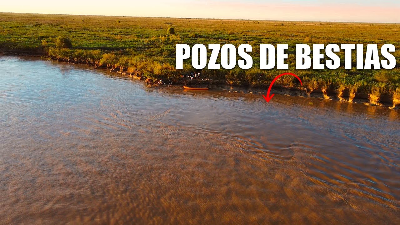 PESCA DE PATIES GIGANTES EN VILLA CONSTITUCIÓN 🤯 junto a @El Chivo Pesca Y EXCURSION DE PESCA ALE🎣