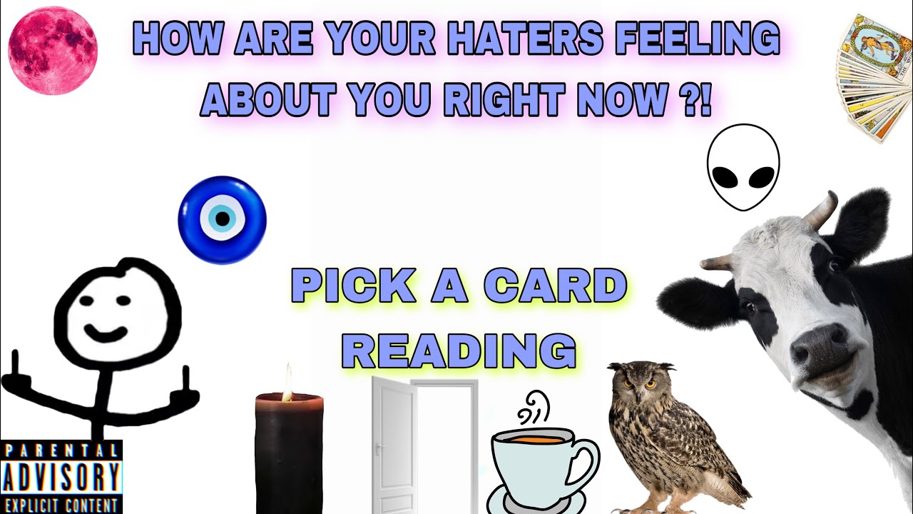 (PICK A CARD) HOW ARE YOUR HATERS FEELING ABOUT YOU ?!
