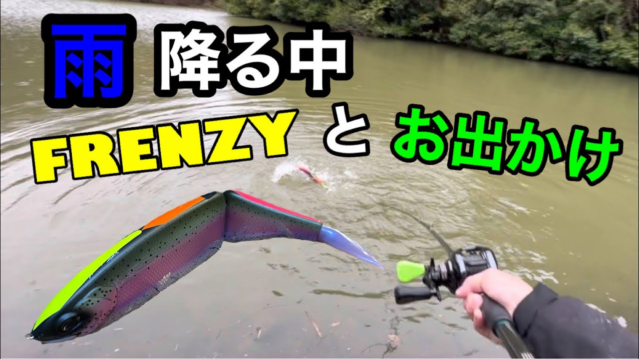 雨降る中、フレンジーとお出かけ。【バス釣り】【ジャイアントベイト】