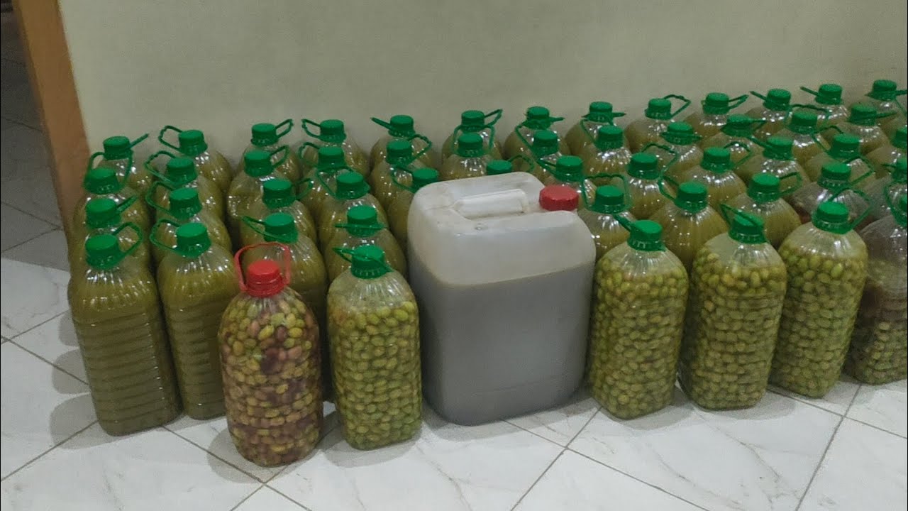 عيشو معانا أجواء عصر زيت الزيتون الحرة بني ملال ومراحل وخويا هشام قايم بالواجب والبرد 🥶 بشاخ😋