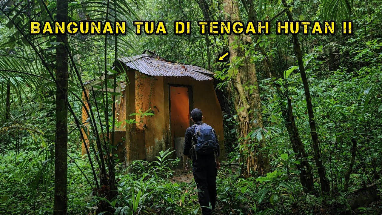 SAHUR DAN BUKA PUASA DI HUTAN !! CAMPING SURVIVAL !! SOLO CAMPING RAMADHAN !!
