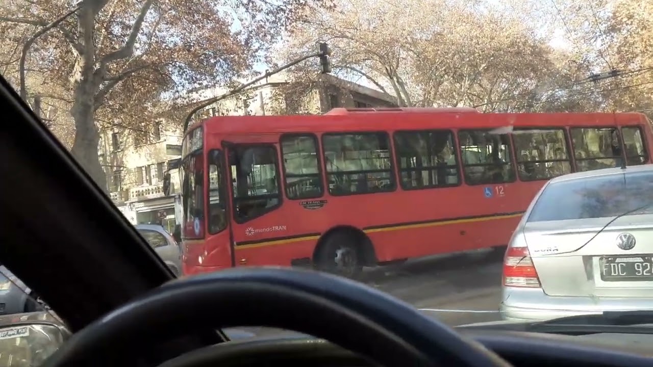 Micro Mendoza l&iacute;nea 100 int 12
