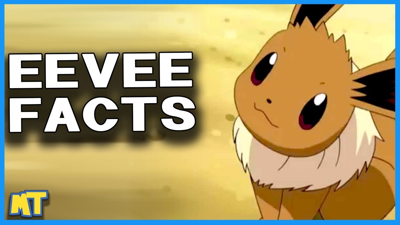 Top 5 Facts About Eevee You Likely Didn't Know (Pokémon Facts) | Master Trainer