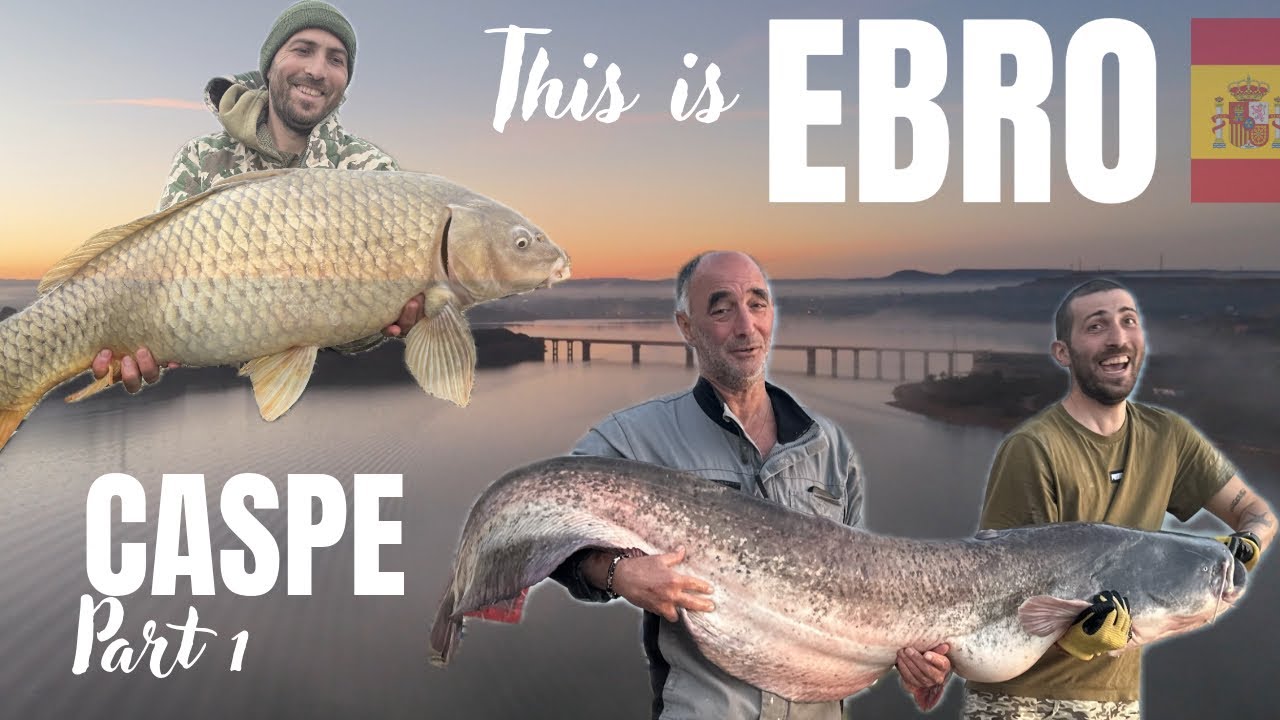 Epic Big Catfish & Carp Fishing on the Ebro River 🎣 | CASPE Winter Session (Part 1)