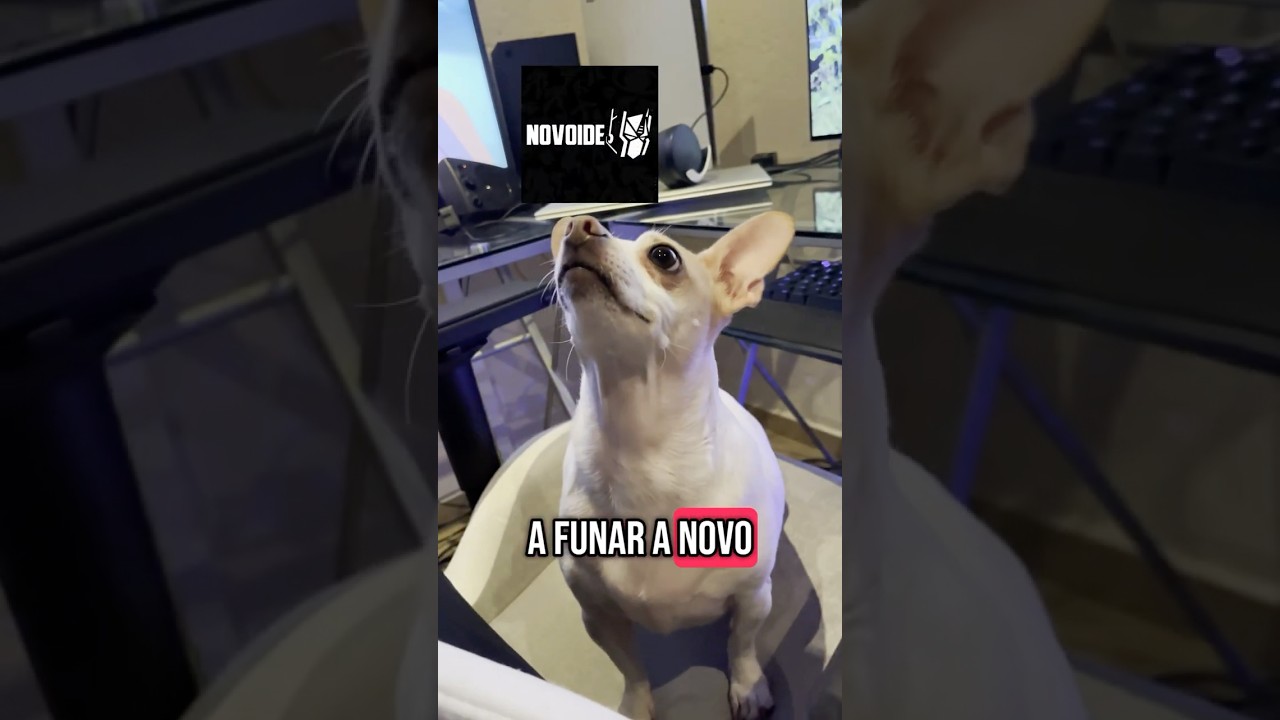 Funaron a #novoide #lootcard #tedamasloot #SquadGP