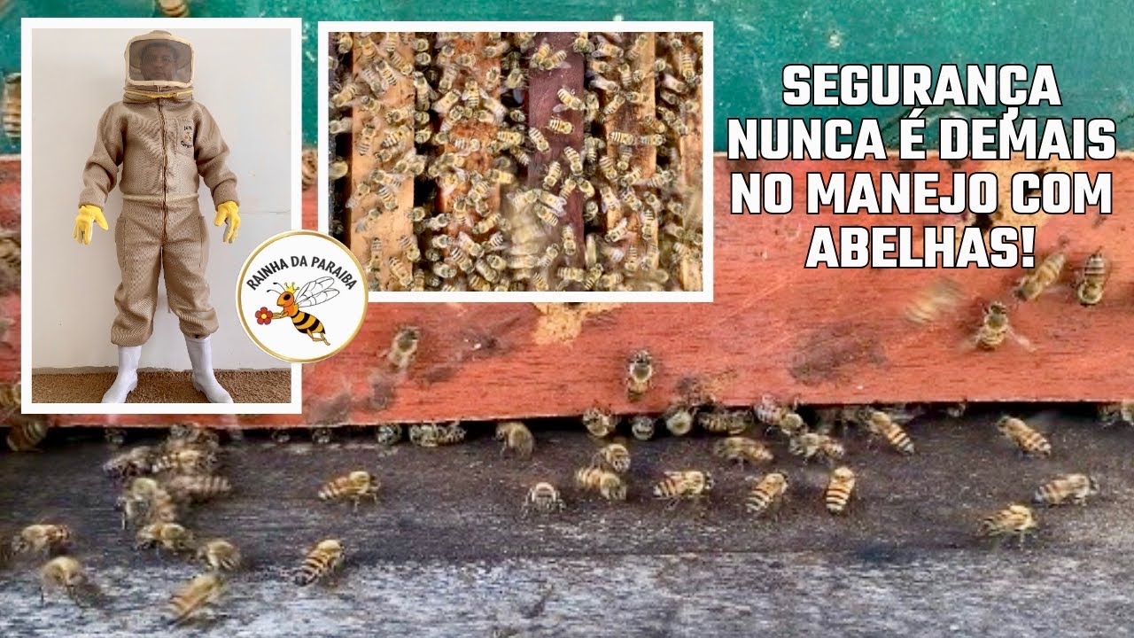 O macacão ideal para trabalhar com abelhas com segurança e conforto no apiário! Rainha da Paraíba 🐝