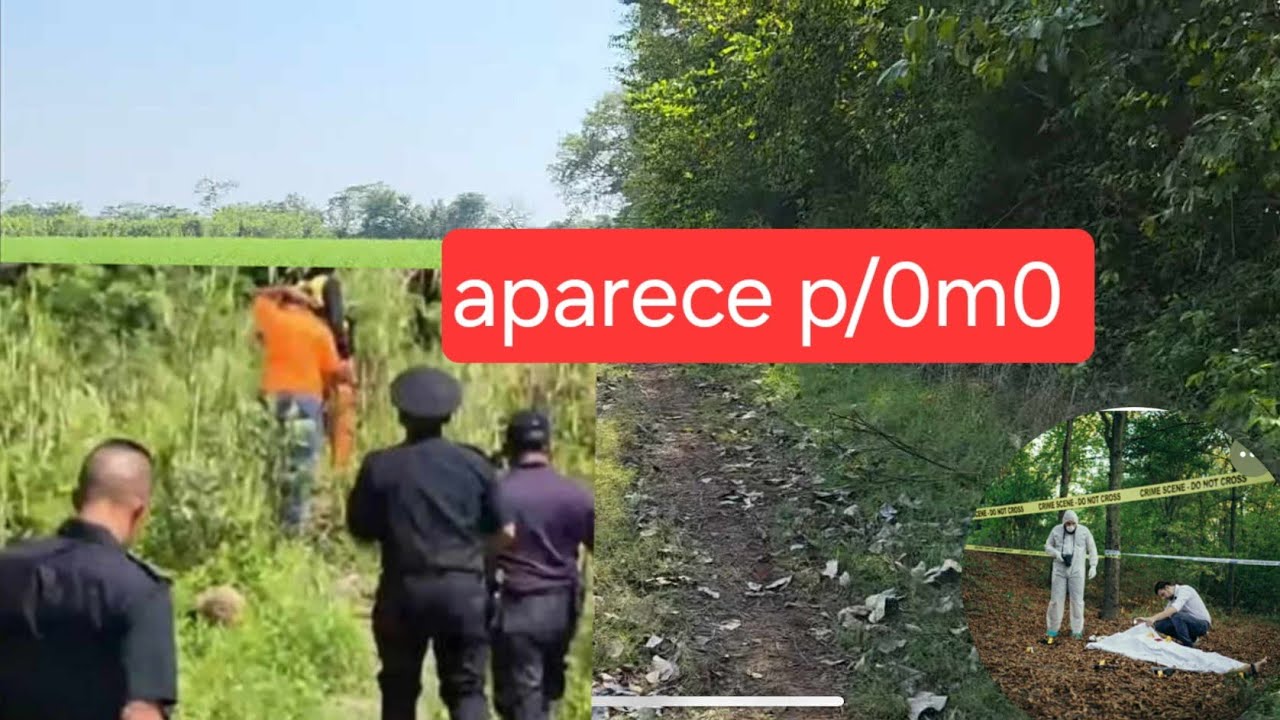😱urgente tienen que saber esto de p/0m0 escuchen 