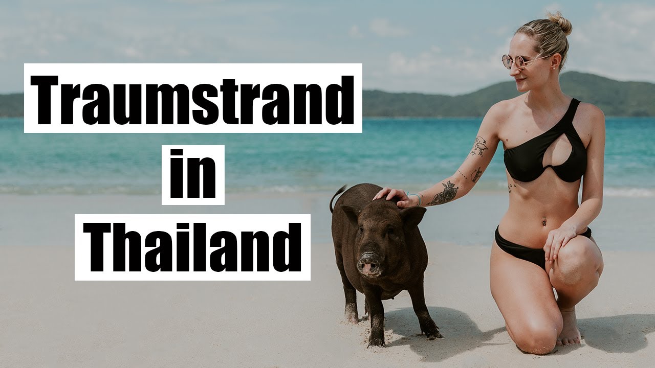 Die Bahamas von Thailand | Traumstrand mit Schweinen | Pig Island Koh Samui