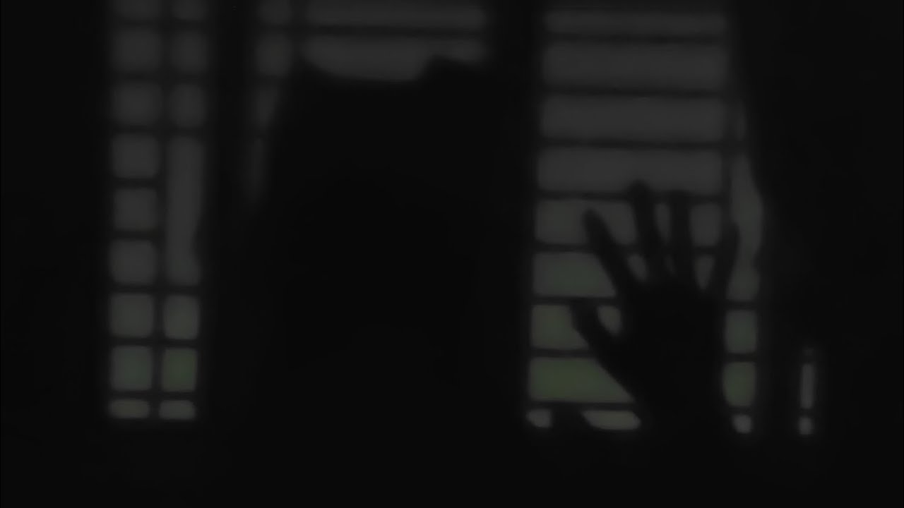 1092 paradise WARNING disturbing content