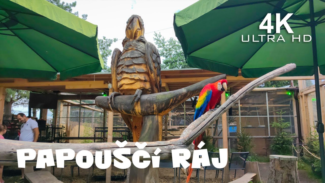Papouščí ráj |4K